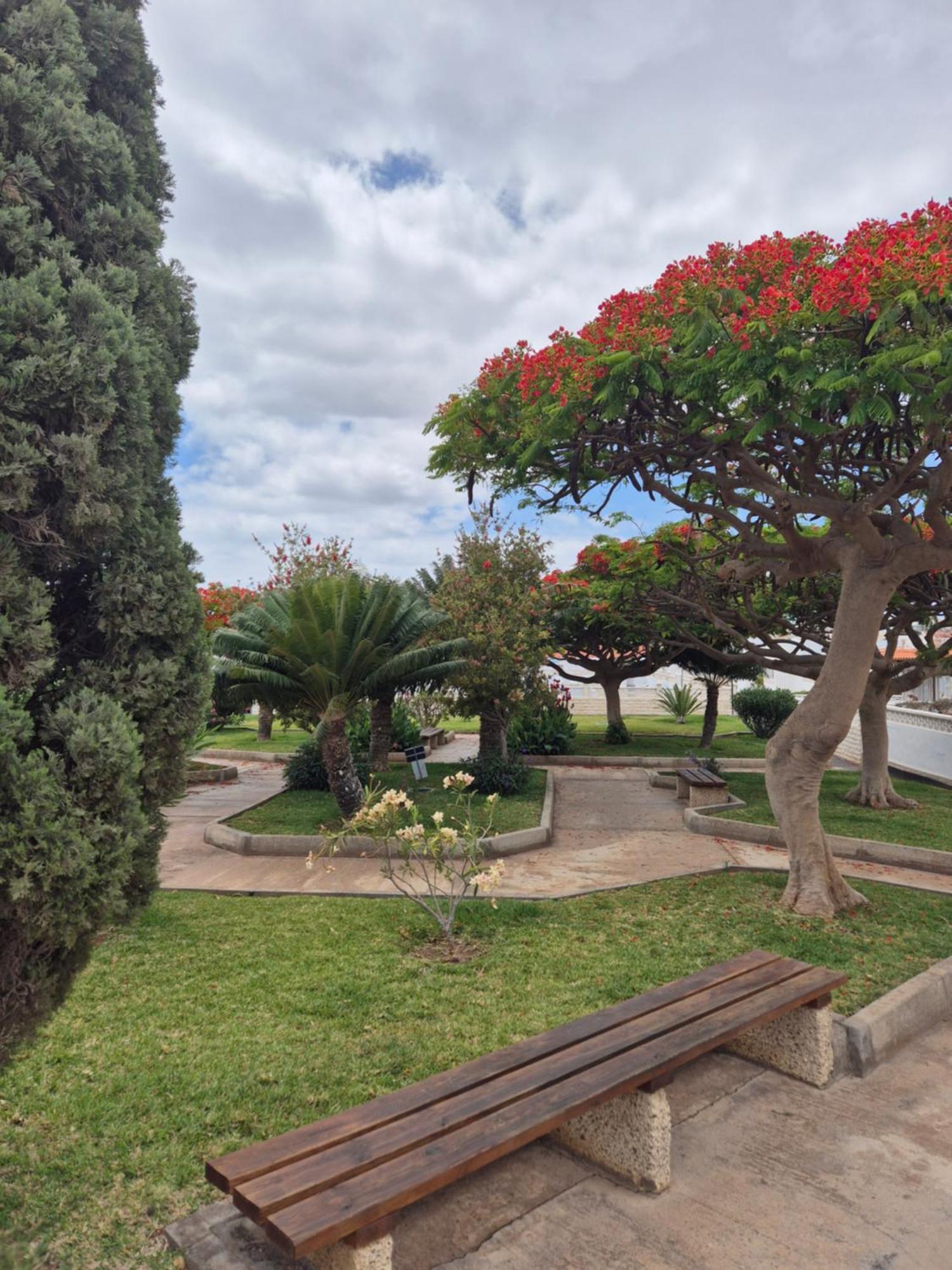 Bungalow Luna Privada Costa del Silencio Eksteriør billede